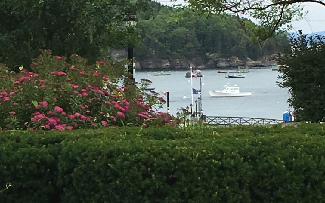 Our family trip to Beautiful Bar Harbor